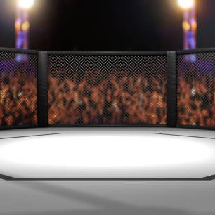 3D Rendered Illustration of an MMA, mixed martial arts, fighting cage arena.